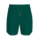 Calvin Klein Ανδρικό σορτς Woven Shorts